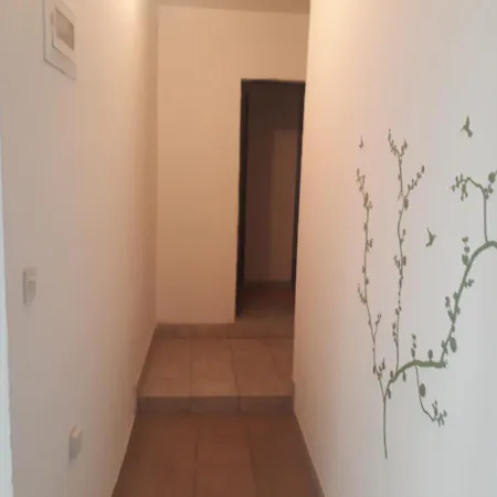 بيت شباب Green Hostel زادار