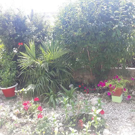 بيت شباب Green Hostel زادار