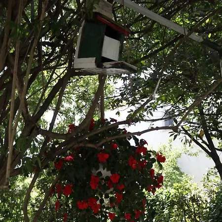 Green Hostel بيت شباب زادار